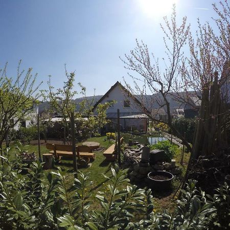 Moselie Ferienwohnung Kinheim Mosel Luaran gambar