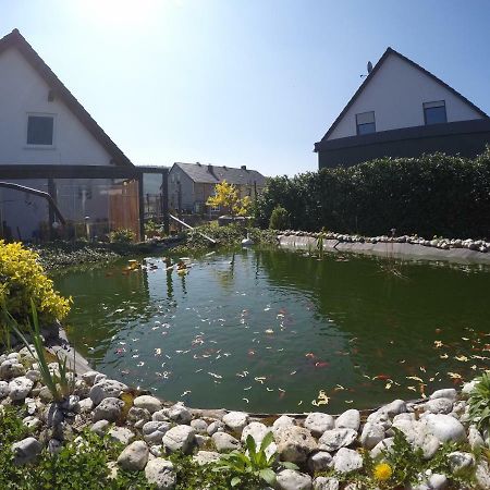 Moselie Ferienwohnung Kinheim Mosel Luaran gambar