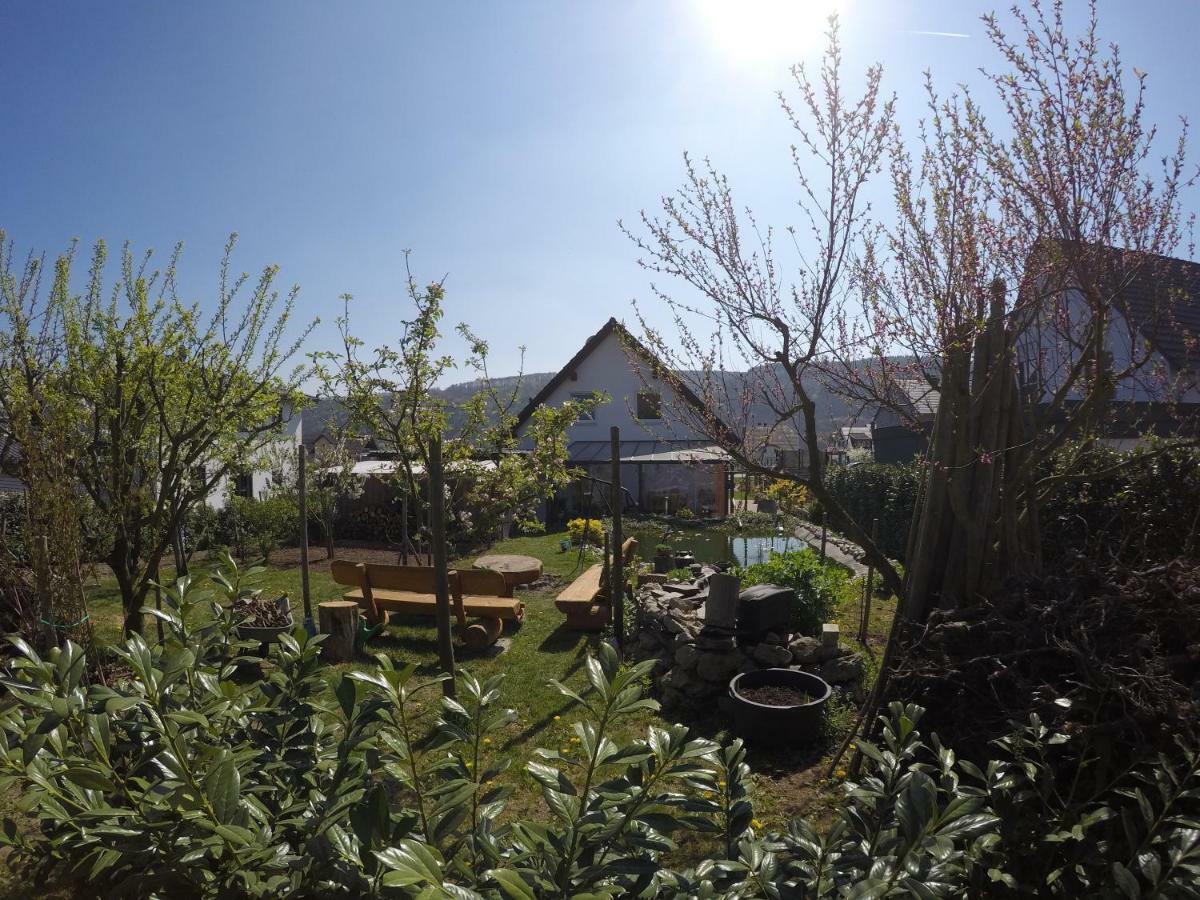 Moselie Ferienwohnung Kinheim Mosel Luaran gambar