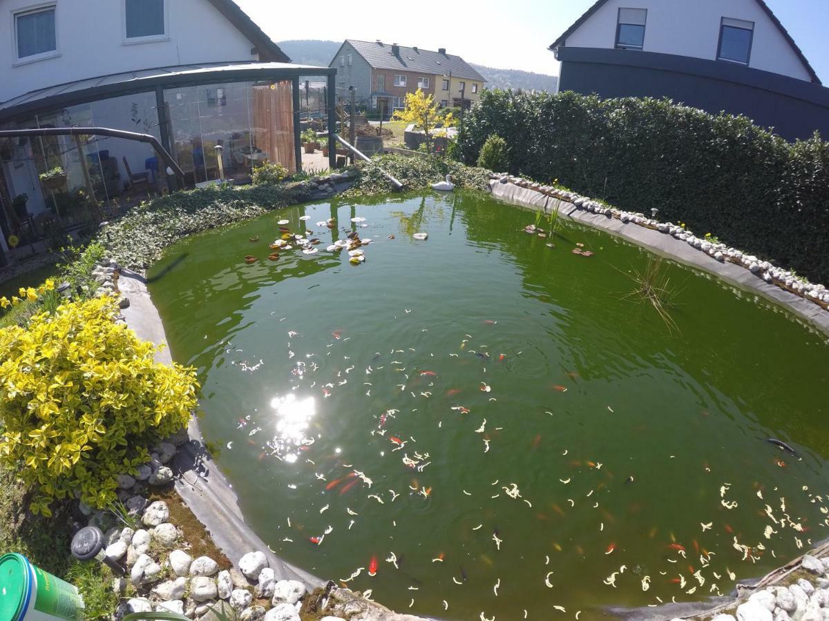 Moselie Ferienwohnung Kinheim Mosel Luaran gambar